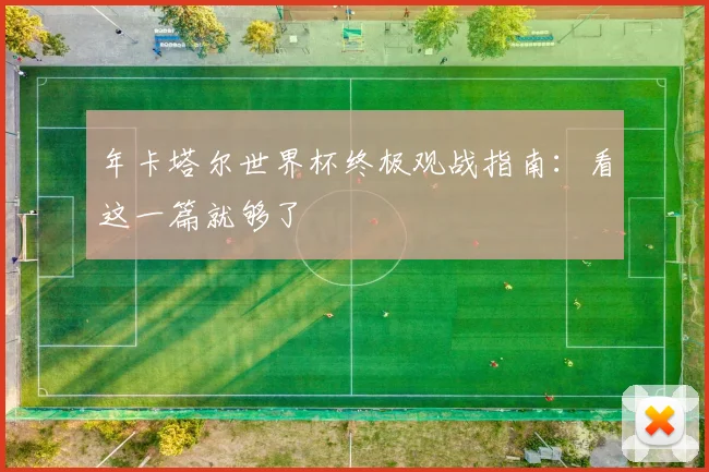 年卡塔尔世界杯终极观战指南：看这一篇就够了