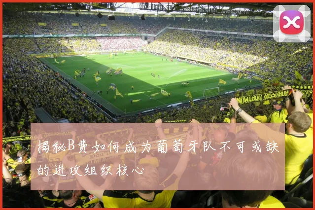 揭秘B费如何成为葡萄牙队不可或缺的进攻组织核心